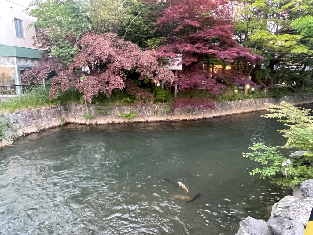 ホテルの前の川